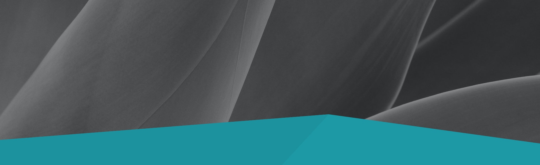 Ascend - Sustainability!